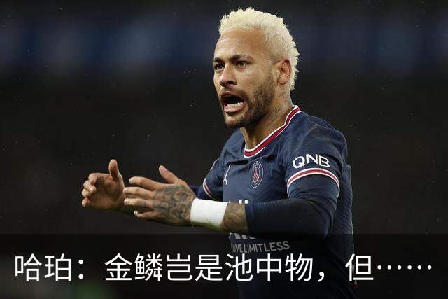 哈珀：金鳞岂是池中物，但……